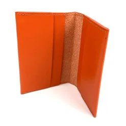 Daniel Chong Tarjetero Naranja* Carteras